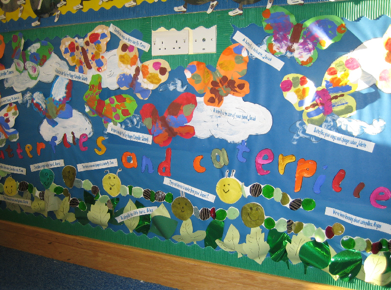 Butterflies And Caterpillars Classroom Display Photo - Photo Gallery 