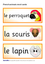 French animal word cards (SB1316) - SparkleBox