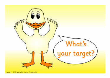 Duck targets (SB4292) - SparkleBox