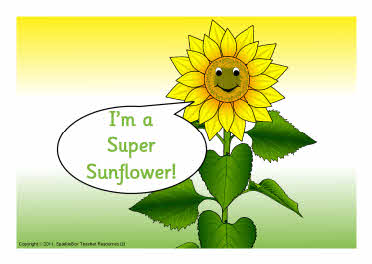 Sunflower-themed target sheets (SB5379) - SparkleBox