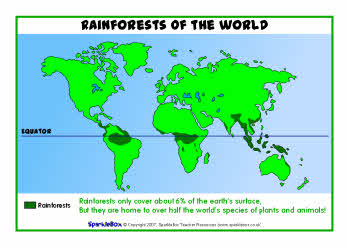 Rainforest maps (SB6574) - SparkleBox