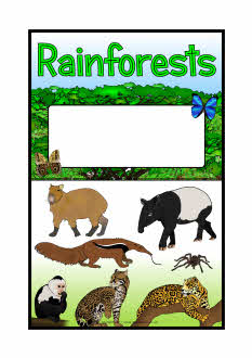 Rainforests/Amazon Rainforest editable topic book covers (SB6982 ...