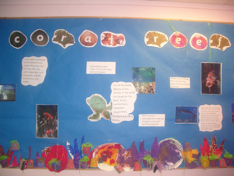 Coral Reef classroom display photo - Photo gallery - SparkleBox