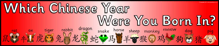 Which Chinese Year Were You Born In? display banners (SB7234) - SparkleBox