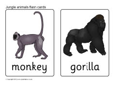 Jungle animal flash cards (SB7722) - SparkleBox