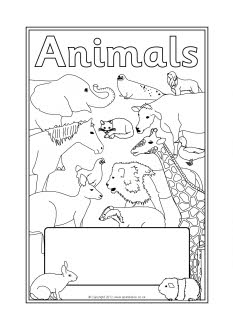 Animals editable topic book covers (SB7948) - SparkleBox