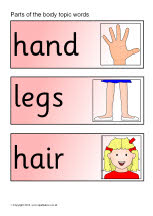 Parts Of The Body Topic Word Cards (SB275) - SparkleBox