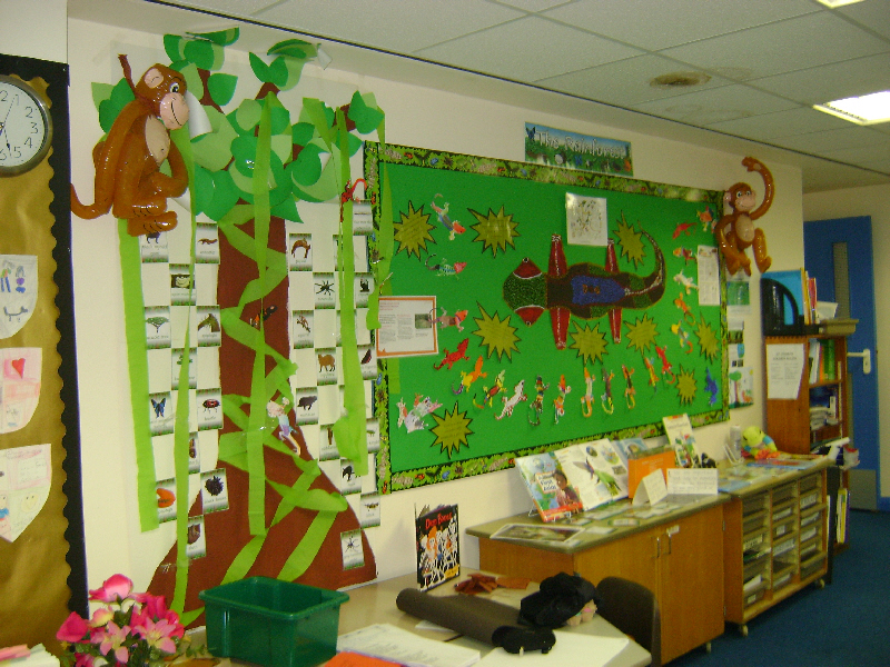 The Rainforest classroom display photo - Photo gallery - SparkleBox