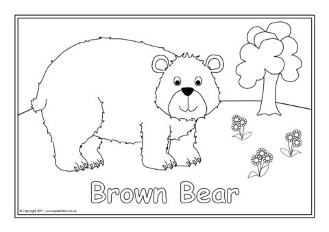 bear coloring pages sparklebox literacy