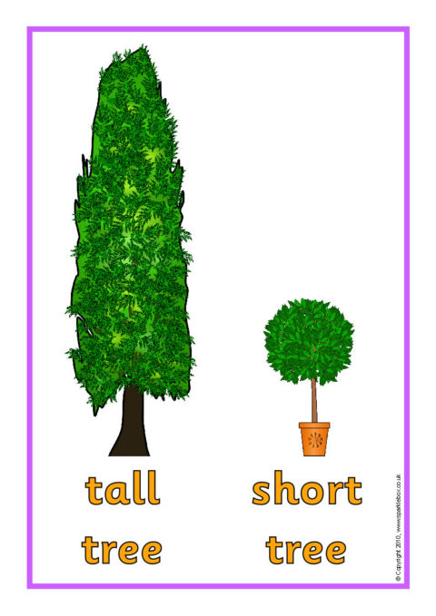Tall and Short Posters (SB3101) - SparkleBox